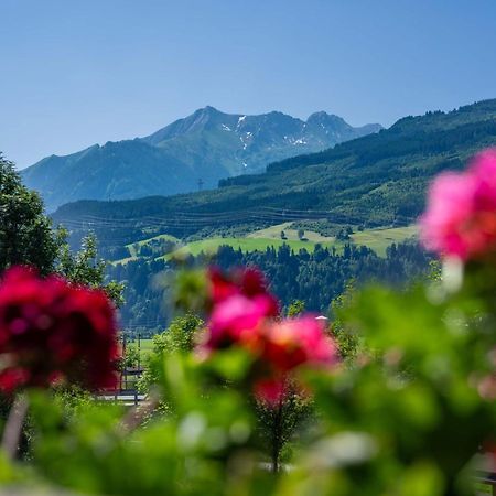 Appartement Am Tatscherlehen Piesendorf Zewnętrze zdjęcie