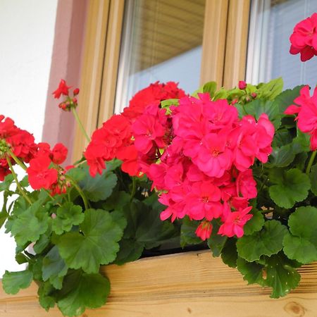 Appartement Am Tatscherlehen Piesendorf Zewnętrze zdjęcie