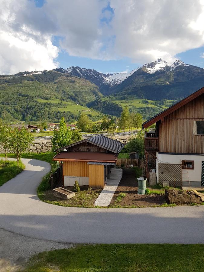 Appartement Am Tatscherlehen Piesendorf Zewnętrze zdjęcie